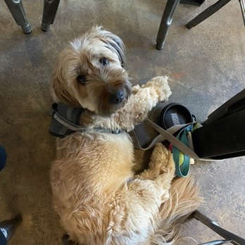 Industrial Eats - Dog friendly - Pizza Near Me - Buellton, California