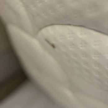 Hilton Garden Inn Fredericksburg - Some brown hard crust on bed. - Hotels Near Me - Fredericksburg, Virginia