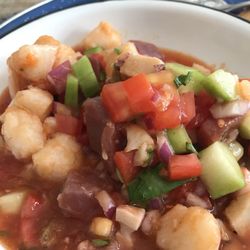 Agua Mala - Tuna, shrimp, octopus, and fish cocktail in a fresh light sauce