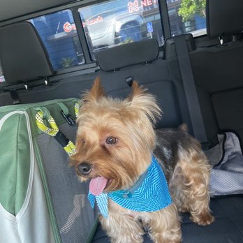 Paws At Main - Riverside - Pet Groomers Near Me - Riverside, California Paws At Main - Riverside - Pet Groomers Near Me - Riverside, California