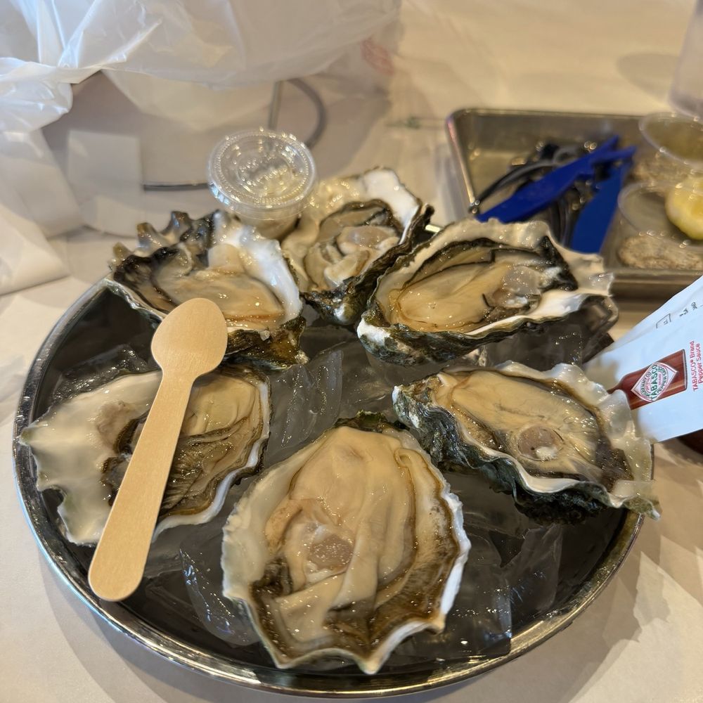 Oysters Oysters