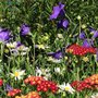 Photo of Putnam Hill Nursery