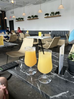 Marble Fox Brewing Company by null