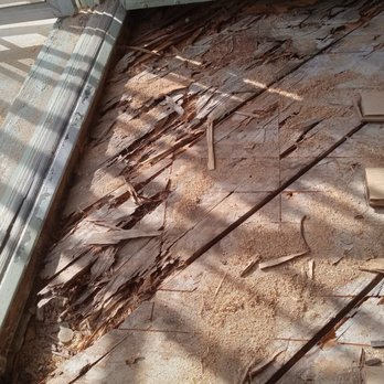 My Flooring Expert - BEFORE: Extensive termite damage. - Flooring Near Me - Beverly hills, California My Flooring Expert - BEFORE: Extensive termite damage. - Flooring Near Me - Beverly hills, California