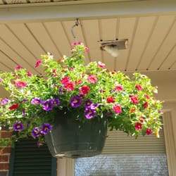 Johnson Nursery & Garden Center