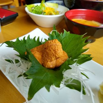 Shema Sushi - Uni sashimi - Sushi Bars Near Me - Rochester, New York Shema Sushi - Uni sashimi - Sushi Bars Near Me - Rochester, New York