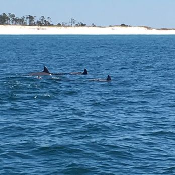 Adventures at Sea - Adventures at Sea Boat Tour - Boating Near Me - Panama City Beach, Florida Adventures at Sea - Adventures at Sea Boat Tour - Boating Near Me - Panama City Beach, Florida