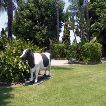 Andy's Garden - Local Flavor Near Me - Artesia, California