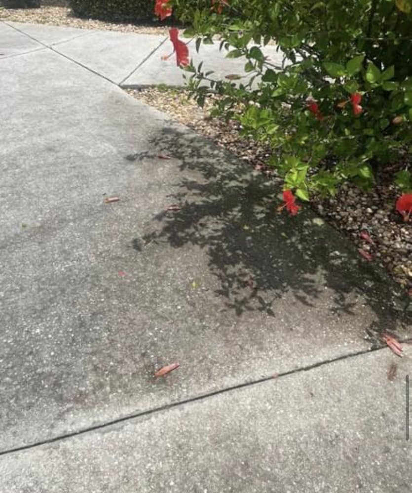 Slide of Virtuous Soft Wash