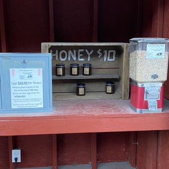Hicks Mountain Hens - Payment station - cash only - Farms Near Me - Petaluma, California