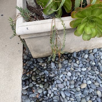 Beach Front Property Management - Property Management Near Me - Long Beach, California