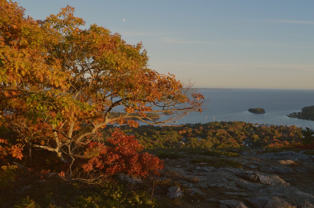 PALMER ACCOUNTING Request Consultation 74 Winthrop St, Augusta