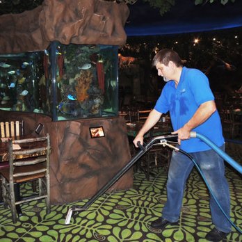 Likenu Carpet Cleaning - Here at the Rain Forest Cafe, we're pushing the grease and grime out of the carpet with steam, and then removing with powerful suction. - Window Washing Near Me - Fraser, Michigan Likenu Carpet Cleaning - Here at the Rain Forest Cafe, we're pushing the grease and grime out of the carpet with steam, and then removing with powerful suction. - Window Washing Near Me - Fraser, Michigan