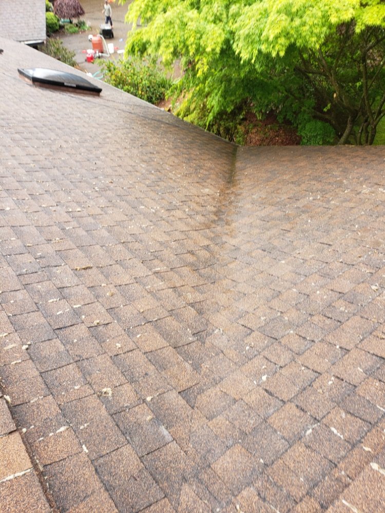 Slide of Diamond Touch Roof Cleaning and Repair