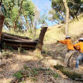 Ultimate Tree Service - We can remove debris and brush from your property - Tree Services Near Me Ultimate Tree Service - We can remove debris and brush from your property - Tree Services Near Me