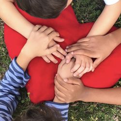 Sol Academy - We are all in this together!