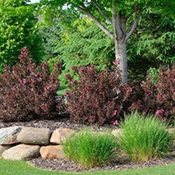 Littles Landscaping
