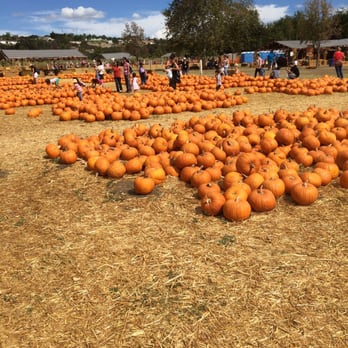 Bates Nut Farm - $6.95 ea - Specialty Food Near Me - Valley Center, California