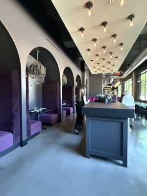 The Black Sheep by null