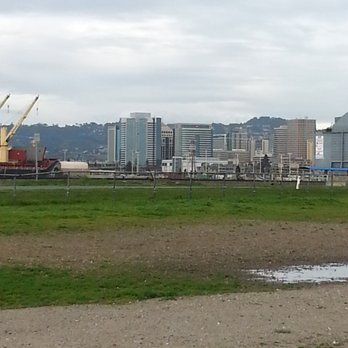 Main Street Dog Park - Dog Parks Near Me - Alameda, California