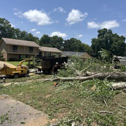Mobile Land and Tree
