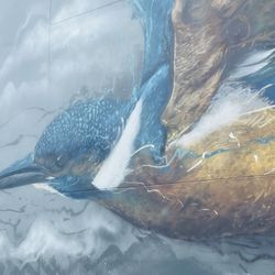 Exploding Kingfisher