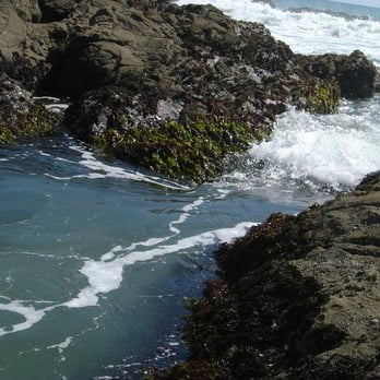 Bean Hollow State Beach - Beaches Near Me - Pescadero, California