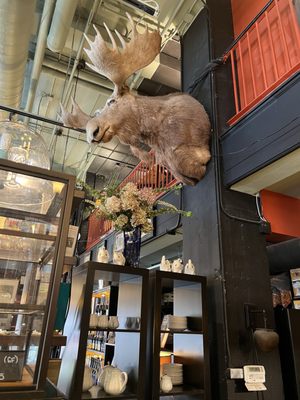 Battery Park Book Exchange & Champagne Bar by null