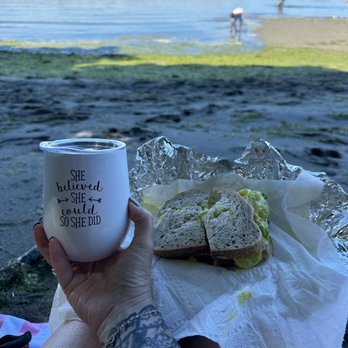 Dash Point State Park - Beach picnic - Parks Near Me - Federal Way, Washington Dash Point State Park - Beach picnic - Parks Near Me - Federal Way, Washington