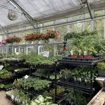 Green Fields Nursery - Inside the greenhouse - Nurseries & Gardening Near Me - Baltimore, Maryland