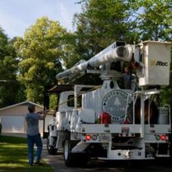 Spotswood's Tree Service - untitled