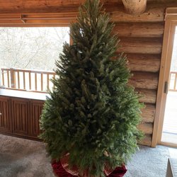 Daniels Lawn and Garden - This year's tree