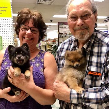 Pets-N-Pals - Pet Stores Near Me - Staunton, Virginia