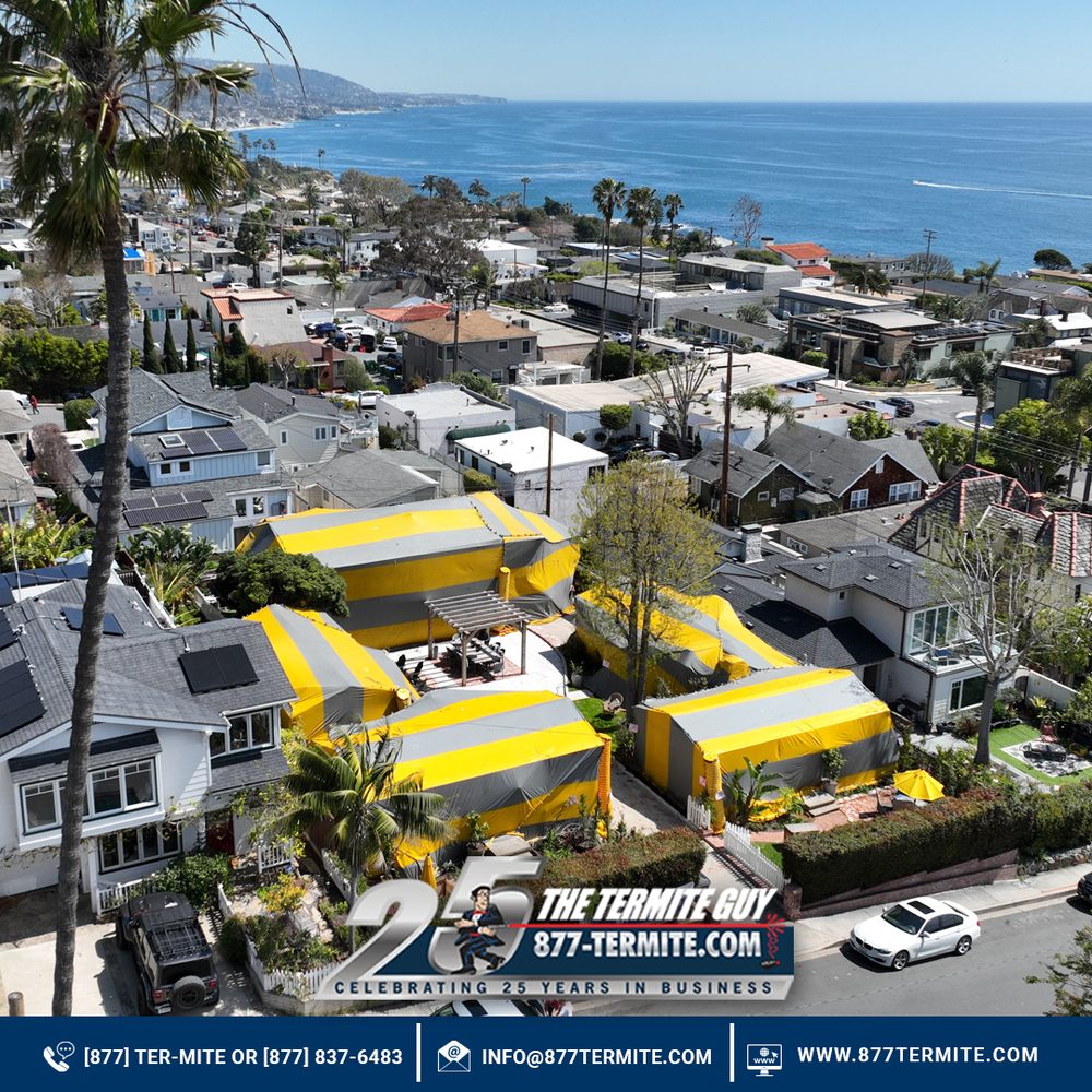 Slide of The Termite Guy