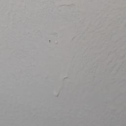 Terraform Construction - door paint - painting - General Contractors Near Me - Brooklyn, New York