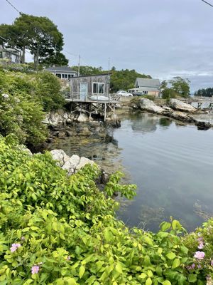 Five Islands Lobster Co by null