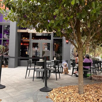 Through The Vine - Outdoor area - Wine Bars Near Me - Fort Lauderdale, Florida Through The Vine - Outdoor area - Wine Bars Near Me - Fort Lauderdale, Florida