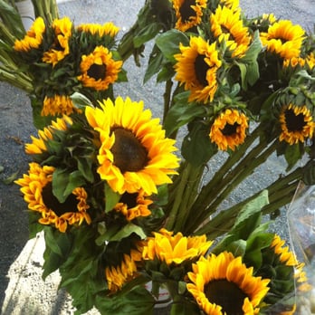 Concord Farmers' Market - Farmers Market Near Me - Concord, California