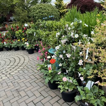 Eric's Nursery and Garden Center - Nurseries & Gardening Near Me - Mount Laurel, New Jersey