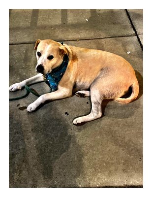 MobCraft Beer | MKE’s Crowdsourced Brewery by null