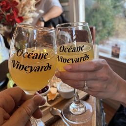 two people toasting glasses of wine