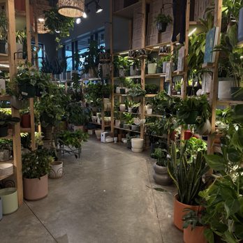 PlantHouse - Nurseries & Gardening Near Me - Charlotte, North Carolina