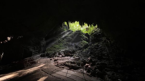 Parque Nacional de las Cavernas del Río Camuy by null