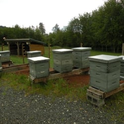 Tugwell Creek Honey Farm & Meadery
