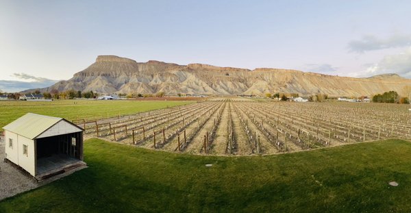 Carboy Winery at Mt. Garfield Estate by null