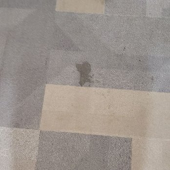 Aqua Via Apartments - Carpet in hallways is gross, full of spots and water damage - Apartments Near Me - Oakland, California