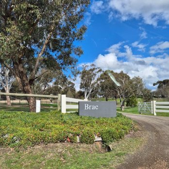 Brae - The front gate of their property. - Australian Near Me - Birregurra, VIC