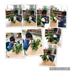 Little Gems Montessori