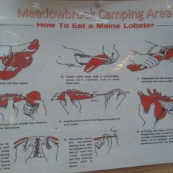 MeadowBrook Camping Area - A must read