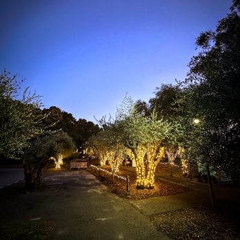 Filoli - light show at night - Botanical Gardens Near Me - Woodside, California Filoli - light show at night - Botanical Gardens Near Me - Woodside, California